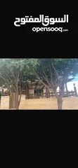 24 شقه طابق ارضي للبيع البنيات خلف جامعة البترا