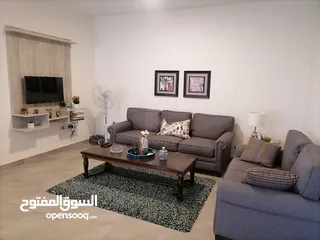  1 Luxurious Furnished Apartment For Rent In Al-Lwaibdeh