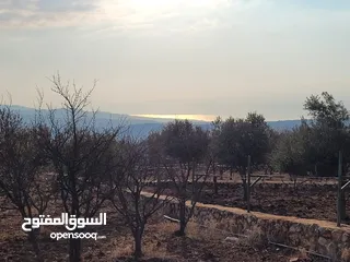  11 أرض 750 م للبيع في ناعور - أبو الغزلان- 5 كم عن كازية السلام