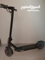 1 Electric scooter (with solid wheels)