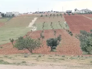  1 6800م للبيع واصل جميع الخدمات مزروع زيتون فيها بئر جمت ماء  كامل القطعه من المالك