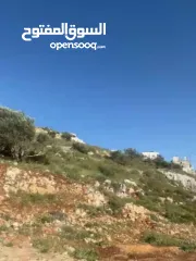  3 ارض للبيع في نابلس الجديدة