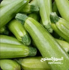  5 خضروات طازجه جمله وتجزئه وبسعر رخيص ومنافس