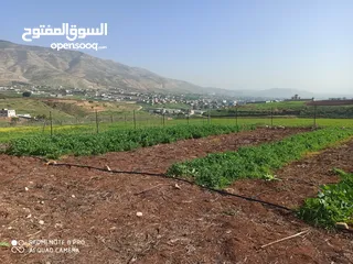  1 نمرة أرض في النصاريه كاشفه من جميع الجهات مشيكه وعليها بوابه. كوشان طابو فرز رضائي.القطعه مستويه