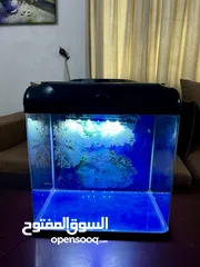  2 Aquarium Tank for Sale!