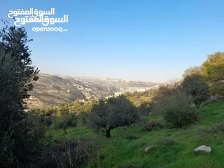  12 ارض مميزة مطلة ابو السوس غرب عمان عدة قطع في المنطقة.