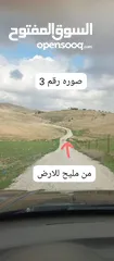  4 ارض زراعية للبيع  .. قطعه زراعية .   محافظة مادبا . ذيبان . مليح . حوض العلاقي . مساحة اربع دنمات