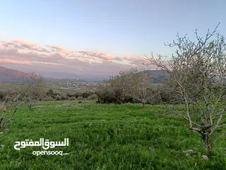  1 مشروع سلحب الاول