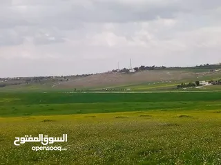  21 مادبا ماعين غرابيات ام راسين قطعة ارض زراعية بمنطقة هادئة و مميزة بمساحة 5300 م واصل الخدمات