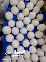  5 لبن غنم طازج ونظيف شغل ألف ألف