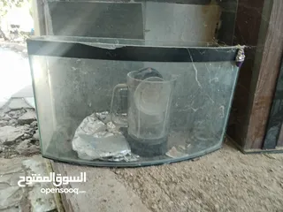  6 حوضين سمك مع قواعدهم