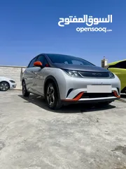  3 دولفن 2022 اقل سعر بالمملكه وانظف حبه