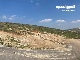  4 قطعة ارض للبيع في أجمل مناطق بيرين ( اعلى قمة )  فرصة العُمر في مشروعنا في بيرين