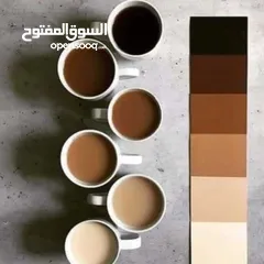  26 ابواب خشبيه داخليه و خارجيه بتصاميم حديثه وفاخره وعصريه جميع الانواع دهان  او تلبيس pvc  وقشره بلوط