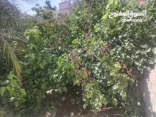  4 بيت مستقل للبيع