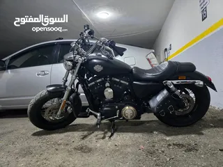  9 Harley Davidson Sportster Custom XL 1200