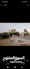  5 3 بيوت  للبيع