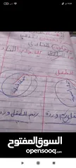  11 مدرسة لغة عربية تأسيس منهج نور البيان وابتدائى واعدادى