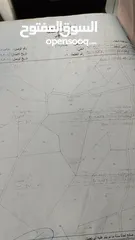  2 موقع  يصلح لانشاء  مزرعة او شاليهات  السلط يرقا تصلح مزرعه