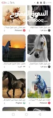  1 مطلوب حصان قطعه عاليه سعر من 300ل400