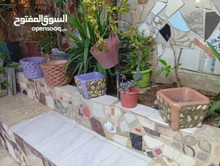  3 احواض زريعه اسمنتيه قابله للبدل على طيور