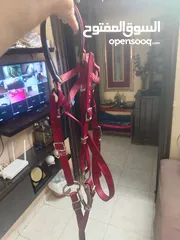  1 لجام خيل كامل نقليزي