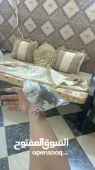  2 كروان على السوم