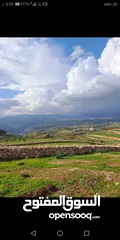  1 ارض للبيع في جرش ثغرة عصفور مسنسله