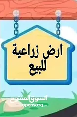  2 قطعه مساحتها الف متر و200 في منطقه المنسيه في الزبير ارض زراعي مكاتبه فقط سعر 150 قرب سكه الحديد