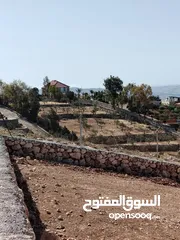  1 ارض للبيع جرش عنيبه قطعه مميزه جدا