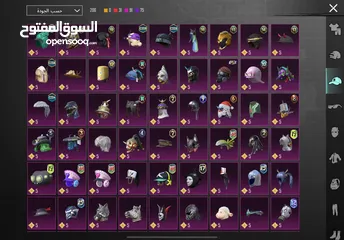  9 حساب ببجي بسعر مغري