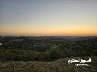  1 ارض لقطه بمساحه 500 متر ع شارعين 10 متر