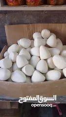  5 جميد بلدي جميد كركي سمنه بلدي جبنة غنم