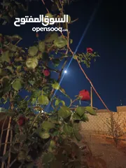  10 منزل للبيع