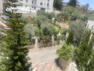  2 شقه مميزه بالطيره