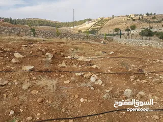  5 قطعة أرض مميزة زراعي او استثماري تصلح شاليه او مزرعة للبيع 10 دونم