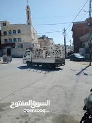  6 بكم بنغو للبيع