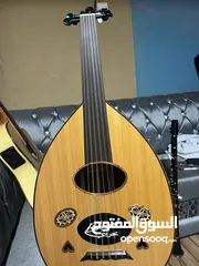  1 عود بحريني (ابو قلبين)