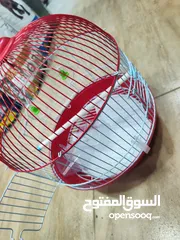  11 قفص الطيور الدائري الأحمر المميز  مناسب لطيور الحب والروز و الفيشر و الجنة