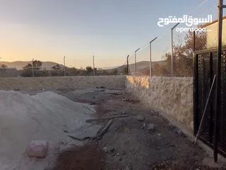  2 تشيك مزارع
