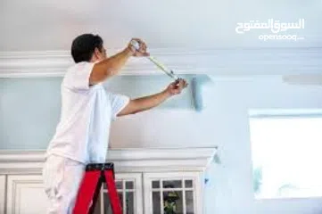  5 wall paint and jipsombord