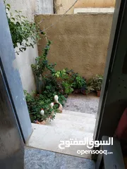  2 شقة طابق ارضي مدخل مستقل مع ساحات