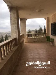  13 فيلا مميزة للبيع في شفا بدران ( Property ID : 31680 )