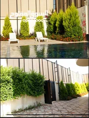  11 شاليه Victoria farm!
