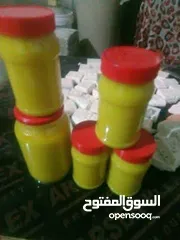  1 موجود ابن عمر