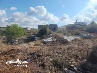  1 حصة بمنطقة الحرايق