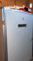  4 فقاسه 1056 بيضة نسبه التفقيس ٪؜90