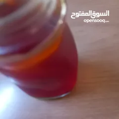  22 الزعفران الإيراني الذهب الاحمر  للبيع