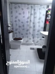  9 شَقًهّ لُلُبُيّعّ