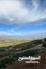  1 ارض في النصارية 3 دونم كل دونم كوشان طابو مستقل